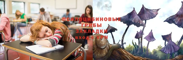 МДПВ Арсеньев