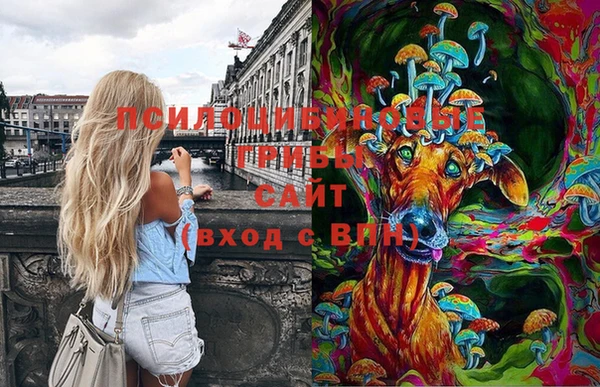 дурь Аркадак